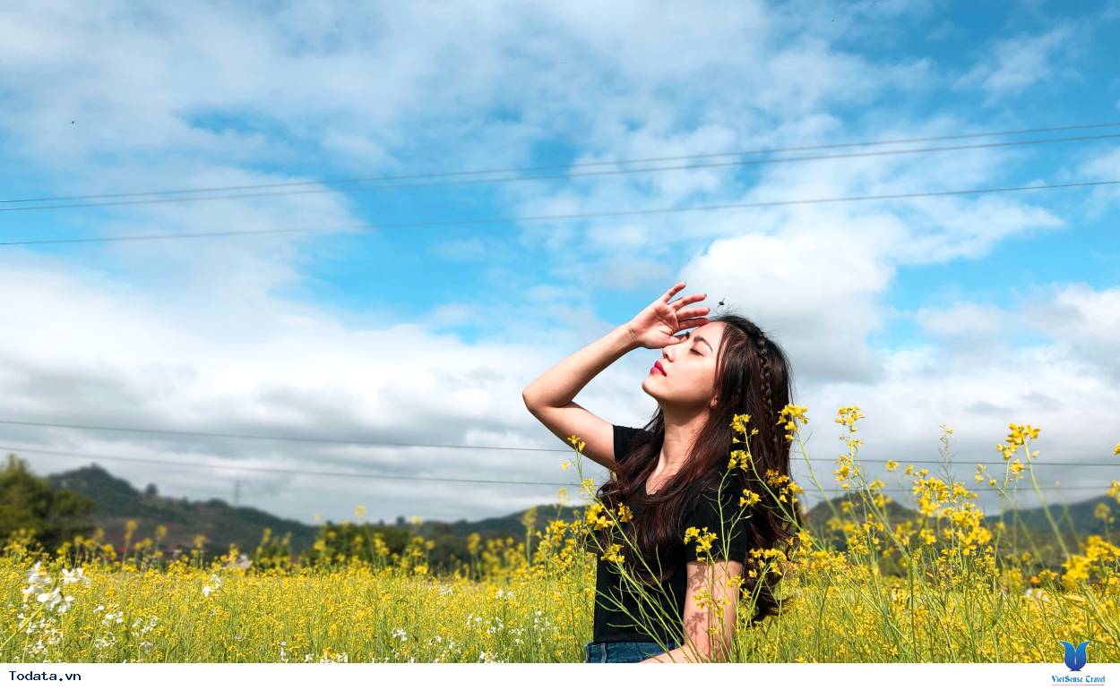 Tour Mộc Châu Mùa Hoa Cải - Ảnh 1 chương trình Mộc Châu Mùa Hoa Cải 2025